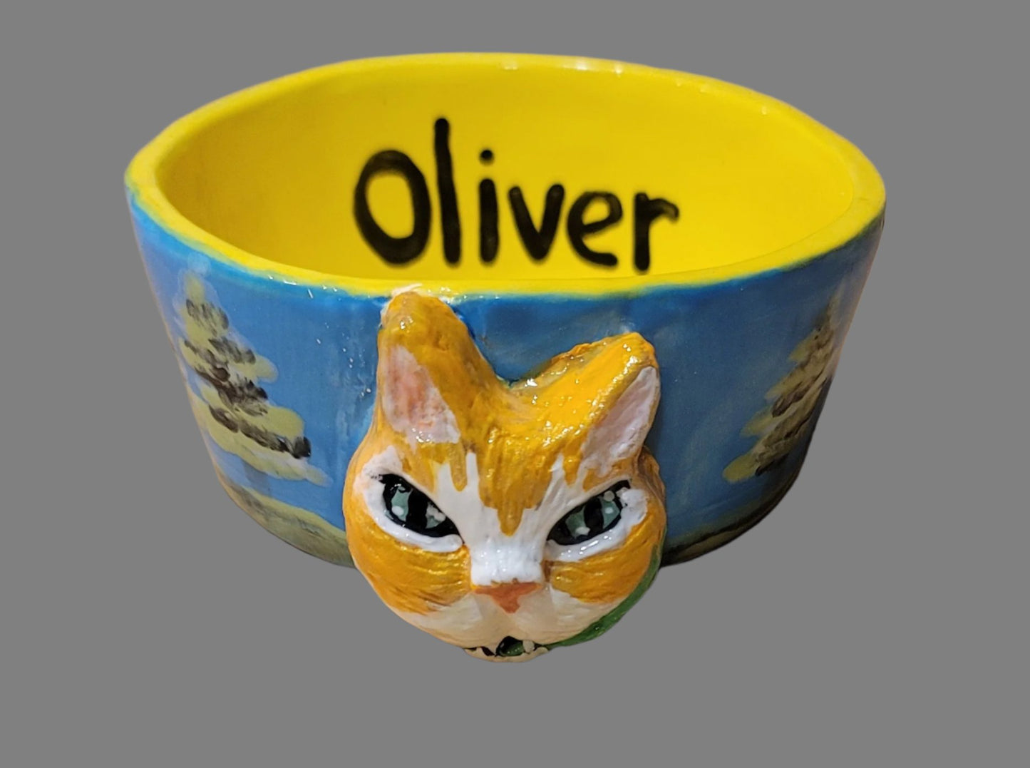Special Custom Pet Bowls for small, medium and large size dogs and cats