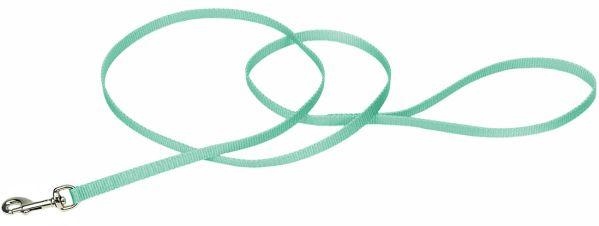 Coastal Pet Single-ply Nylon Dog Leash Teal 4'L x 3/8"W