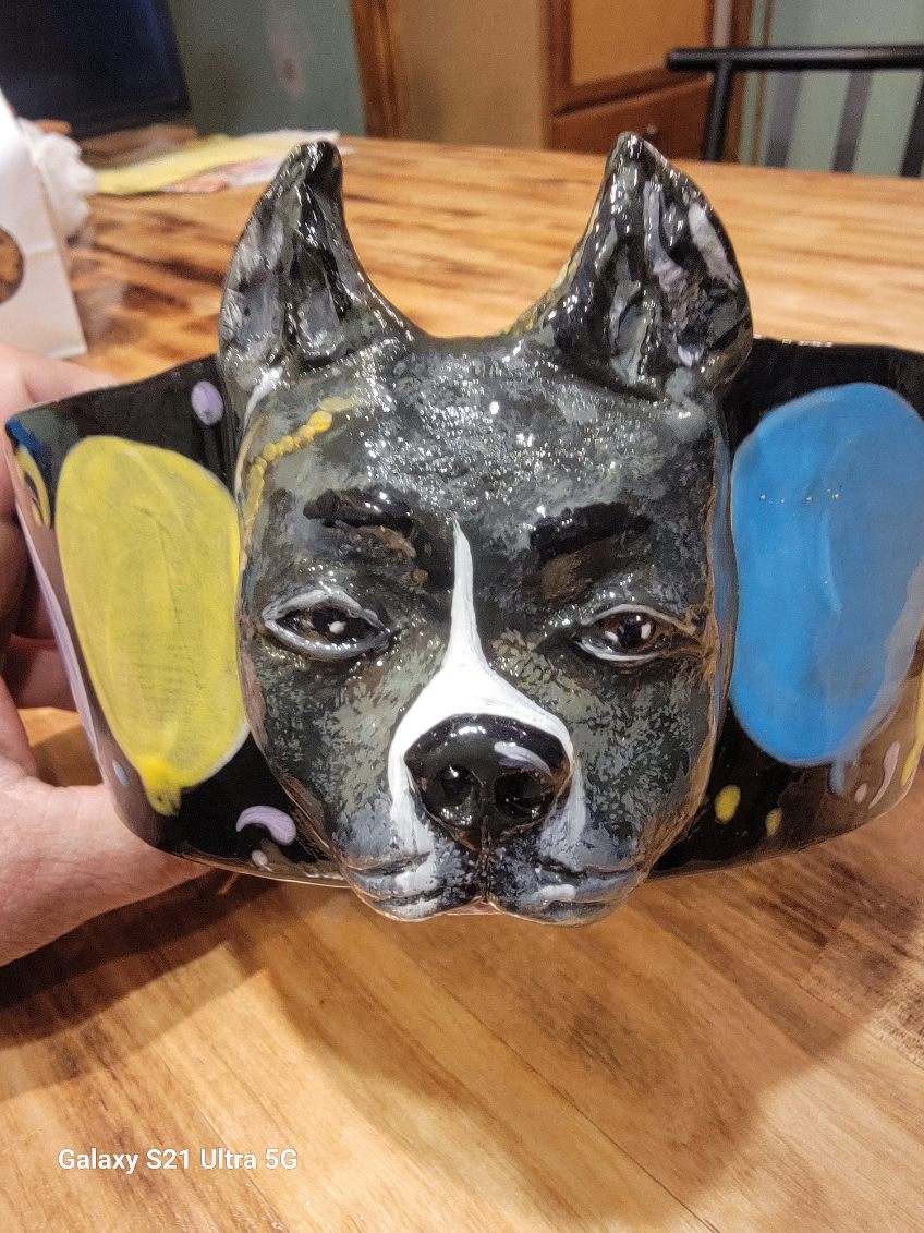 Special Custom Pet Bowls for small, medium and large size dogs and cats
