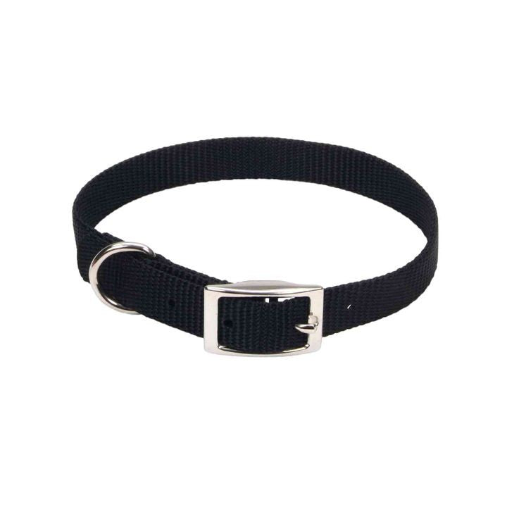 Dog - Coastal Pet Single Nylon Collar - Black 12" Long x 5/8" Wide