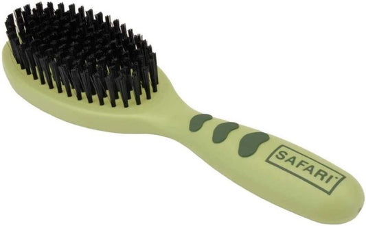 Dog - Safari Bristle Brush